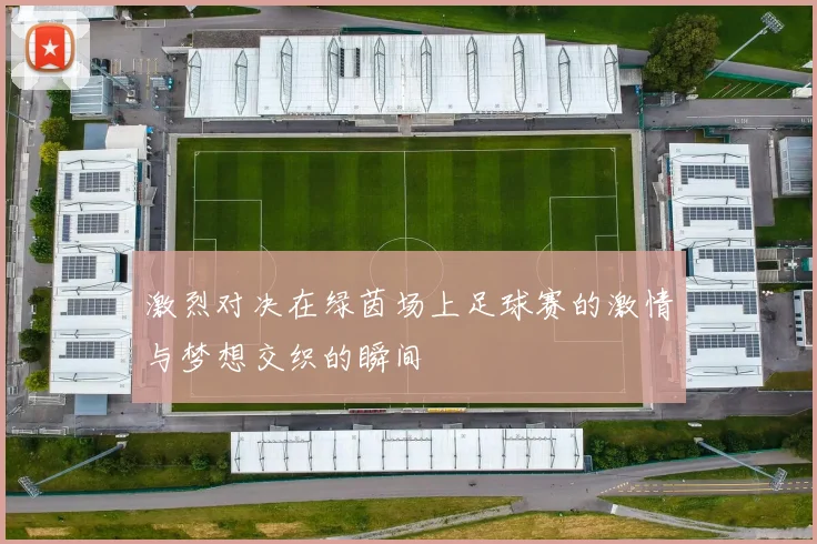 激烈对决在绿茵场上足球赛的激情与梦想交织的瞬间