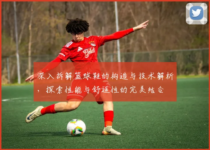 深入拆解篮球鞋的构造与技术解析，探索性能与舒适性的完美结合