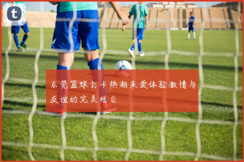 东莞篮球打卡热潮来袭体验激情与友谊的完美结合