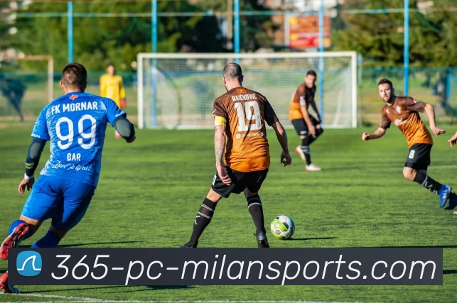 米兰官网服务体系